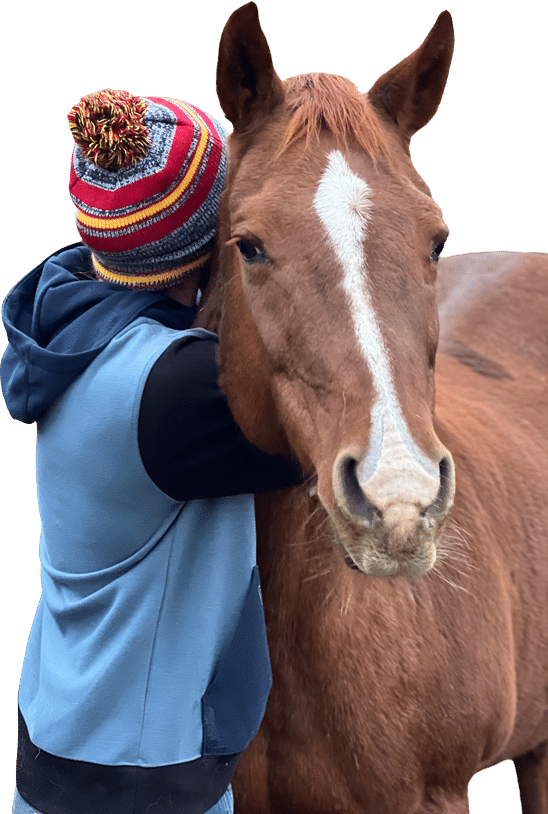 Man and Horse 2